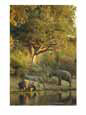 African elephants at a water hole