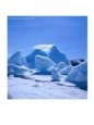Icebergs in Alsek Lake, Glacier Bay National Park & Preserve, Alaska, USA