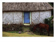The Village Horse, Navala, Viti Levu
