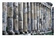 Columns along Cardo, Main Street of Historic Site, Apamea, Hama, Syria
