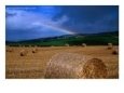 Straw Bales And Rainbow At Harvest Time, Ireland