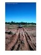 Landrover Driving Over Dry River Bed, Matusadona NP, Mashonaland West, Zimbabwe
