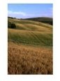Rolling Hills of Tuscan Countryside, Italy