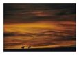 Cowboys silhouetted against a twilight sky.