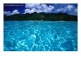 Lagoon in Haapiti, Moorea, the French Polynesia