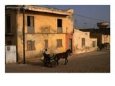 Horse And Cart Passing House, St Louis, Senegal