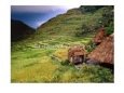 Rainstorm Approaching  Huts And Rice Paddies., Batad, Ifugao, Philippines