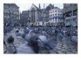 Pigeons In A Town Square