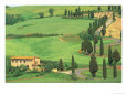 Curvy Tuscan Road, Tuscany, Italy