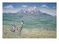 Zebra with Mountain in Background