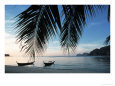Beach Scene, Khoh Phi Phi, Thailand