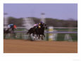 Jockey on Horse in Race