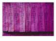 Close View of Offerings Made at a Buddhist Temple