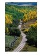 Road Leading Through Autumn Foliage in San Juan Mountains Near Telluride, Telluride, USA