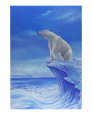 Polar Ice