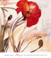 Crimson Poppy 1