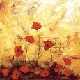 Coquelicots Sauvages