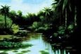 Placid Water