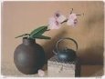 Orchids