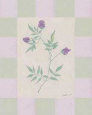 Lavender & Sage III