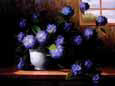 Hydrangea Blossoms II