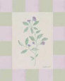 Lavender and Sage II