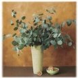 Eucalyptus and Oranges