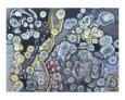 Biological Forms(an interior architecture)