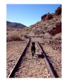 Long Road Home