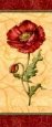 Red Passion Pavot