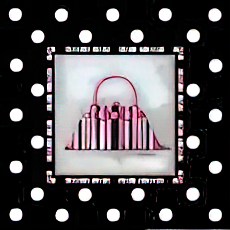 Purse II
