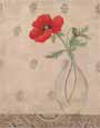 Perfect Poppy II