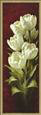MagnificentTulips II