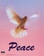 Dove Love