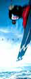 Soar: Skier