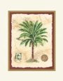 Palm Tree Collage I