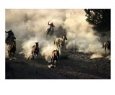 Cowboys Rounding up Horses