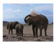 Elephants of Kilimanjaro