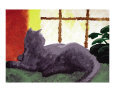 Dreaming Cat