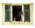 Provence Doggie at Window. Art on the Verge Animals