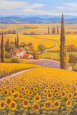 Sunflower Field