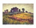 Ripening Field, Last Light