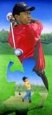 Tiger Woods World Culture African American Culture