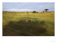 Shadow of a Moving Land ROVer Cast into Roadside Grass