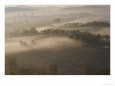 The Early Morning Mist Rises over Bell Buckle, Tennessee