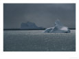 Icebergs near Elephant Island.