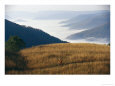 A Cyclist Rides in a Meadow Above a Fog Shrouded Valley