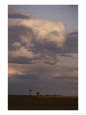 Windmill and Plains under Stormy Sky