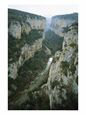High Cliffs of the Breeding and Rookery Area of the Griffon Vulture