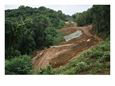 Road Being Cut Through a Pristine Wilderness